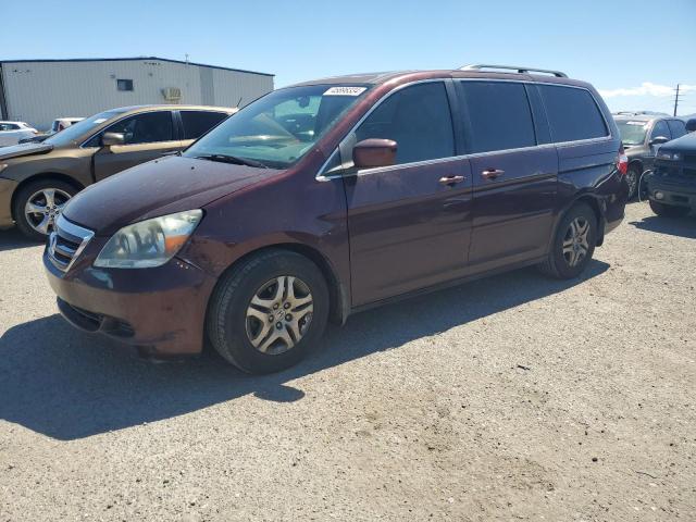 2007 HONDA ODYSSEY EXL 2007 image