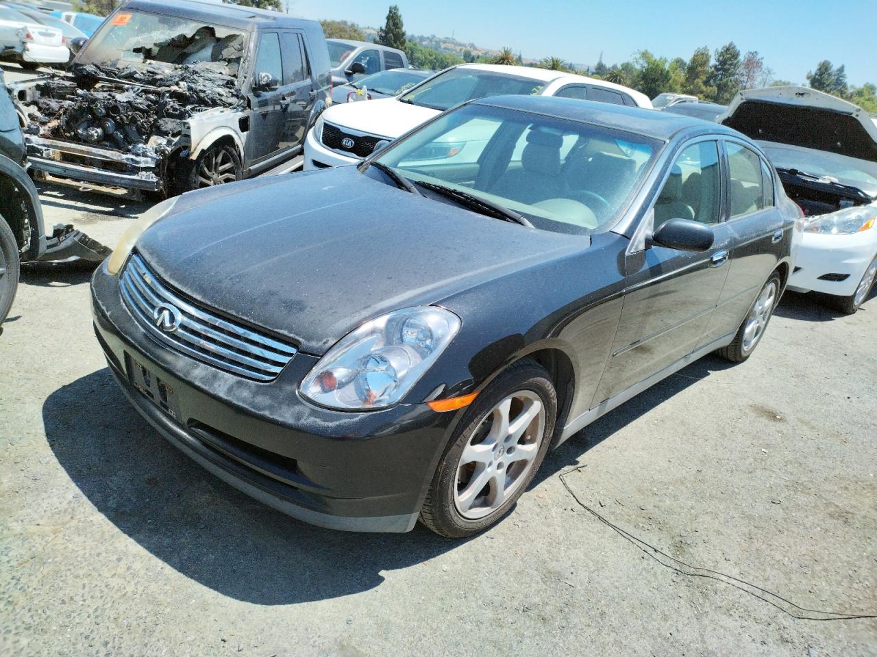 2004 INFINITI G35  2004 image