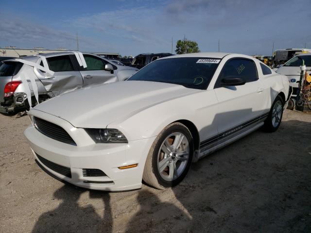 Изображение 1 2013 FORD MUSTANG  2013 с VIN 1ZVBP8AMXD5267804