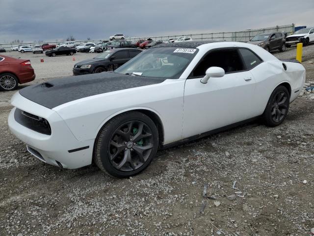 Obraz 2019 DODGE CHALLENGER R/T 2019