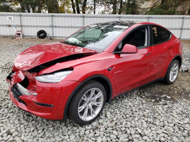 2023 TESLA MODEL Y  2023 image