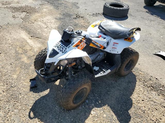 Изображение 2 2021 CAN-AM DS 90 2021 с VIN RLVDGF113MVN02210