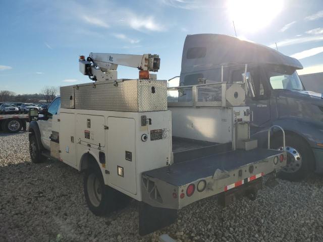 Obraz 2 z 2013 FORD F450 SUPER DUTY 2013 z VIN 1FDUF4GY1DEB00499