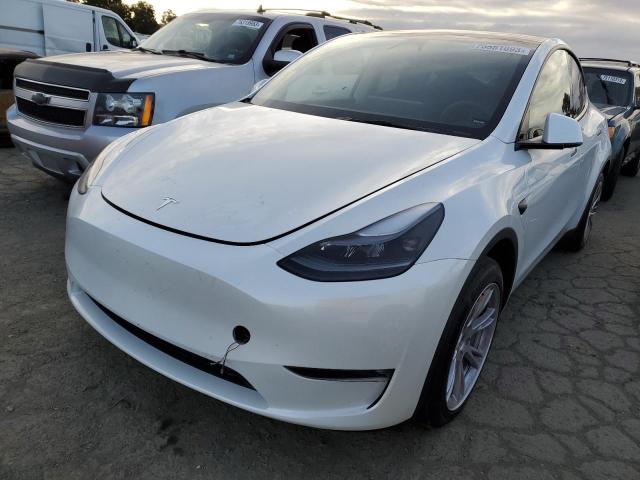 2023 TESLA MODEL Y  2023 image
