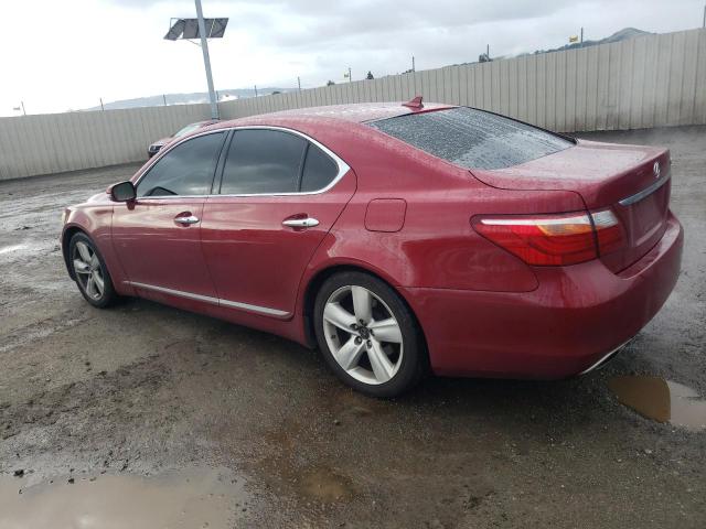 Obraz 2 z 2011 LEXUS LS 460 2011 z VIN JTHBL5EF2B5105539