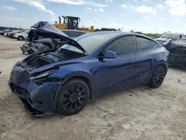 2023 TESLA MODEL Y  2023 image