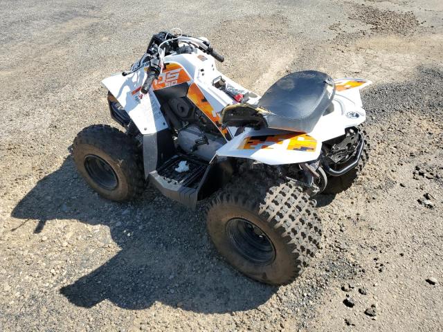 Obraz 3 z 2021 CAN-AM DS 90 2021 z VIN RLVDGF113MVN02210