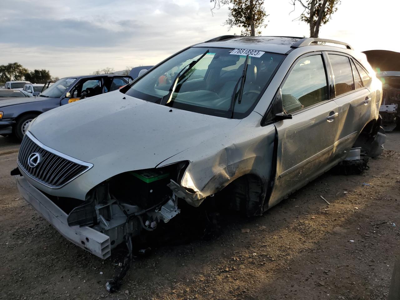 Obraz 2006 LEXUS RX 330 2006