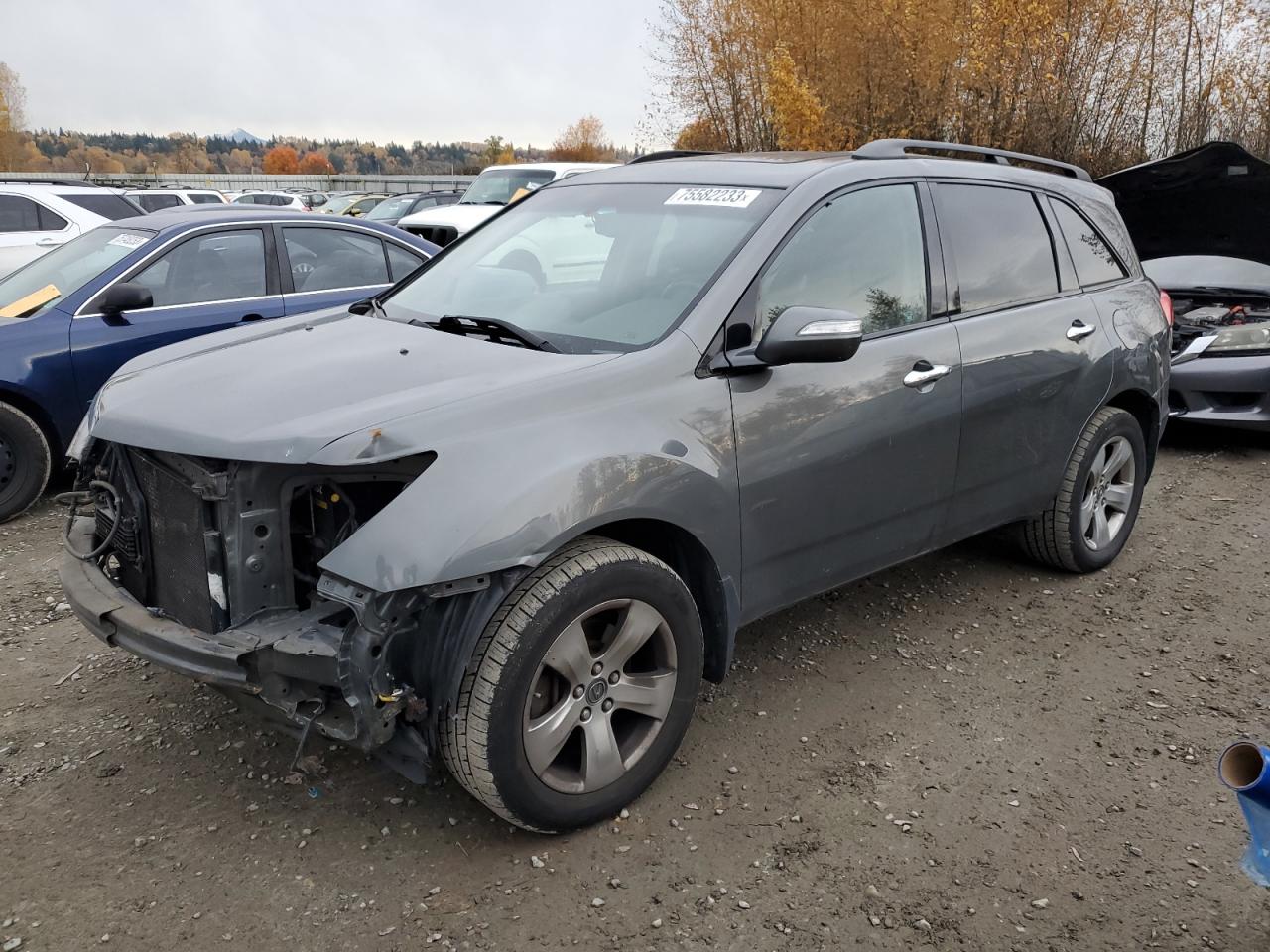Obraz 2008 ACURA MDX SPORT 2008
