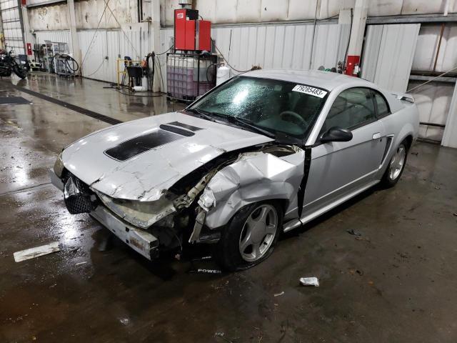 2002 FORD MUSTANG  2002 image