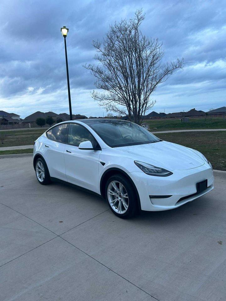 Obraz 2022 TESLA MODEL Y  2022
