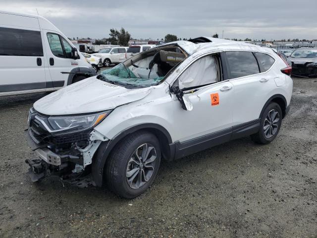 2022 HONDA CR-V EXL 2022 image