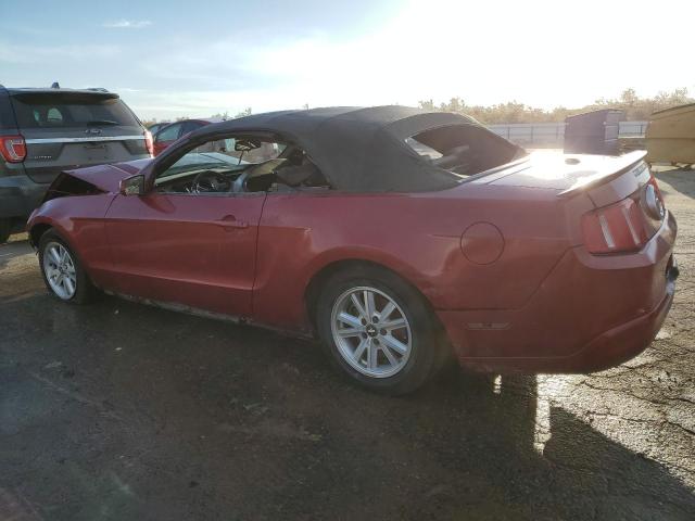 Image 2 of 2010 FORD MUSTANG  2010 with VIN 1ZVBP8EN1A5165029