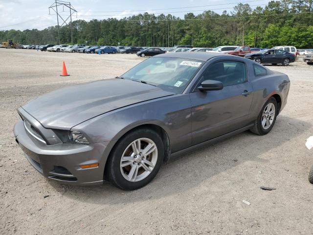 2014 FORD MUSTANG  2014 image