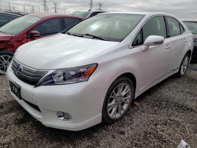 Obraz 2010 LEXUS HS 250H 2010