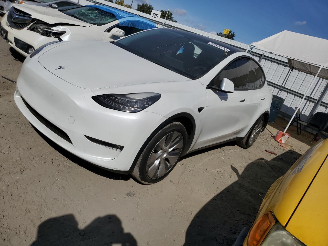 2021 TESLA MODEL Y  2021 image