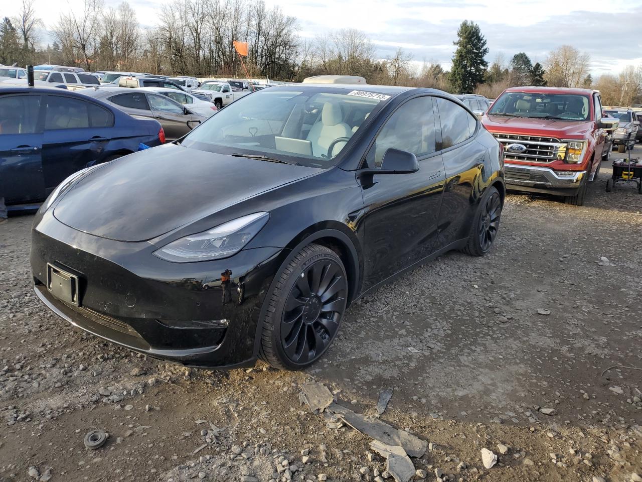 2023 TESLA MODEL Y  2023 image