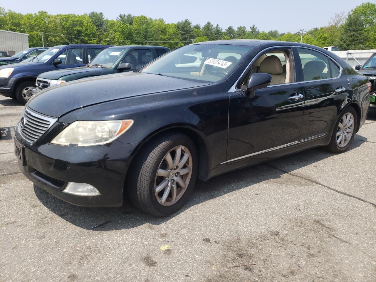 2009 LEXUS LS 460 2009 image