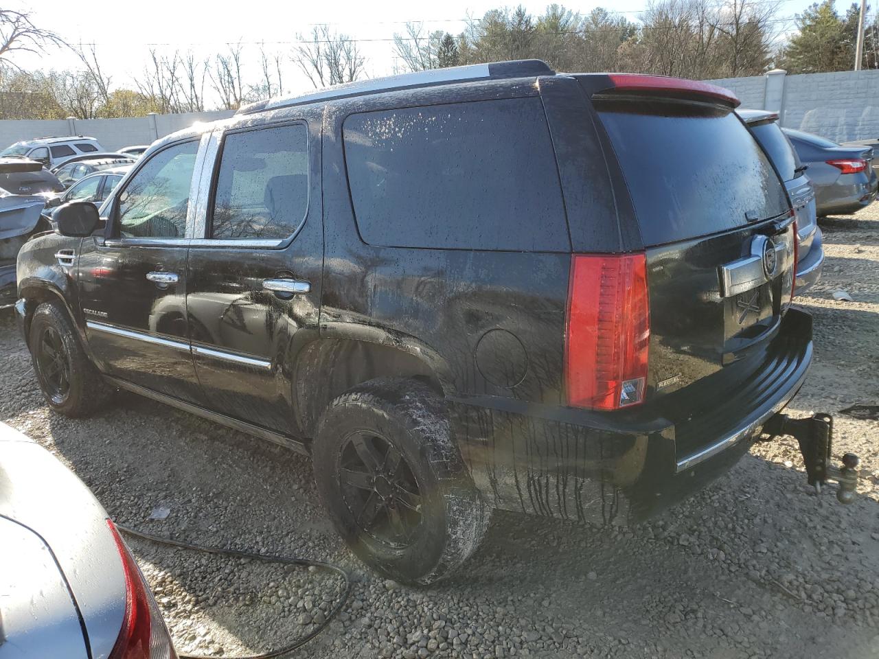 Image 2 of 2010 CADILLAC ESCALADE PREMIUM 2010 with VIN 1GYUKCEF3AR256358