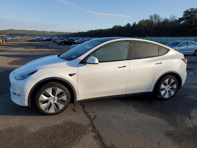 2021 TESLA MODEL Y  2021 image