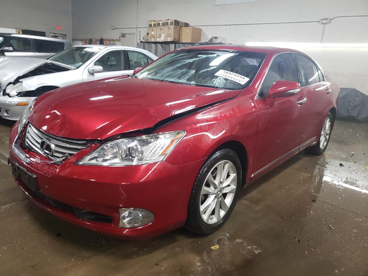 Obraz 2011 LEXUS ES 350 2011