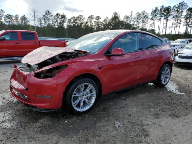 2023 TESLA MODEL Y  2023 image