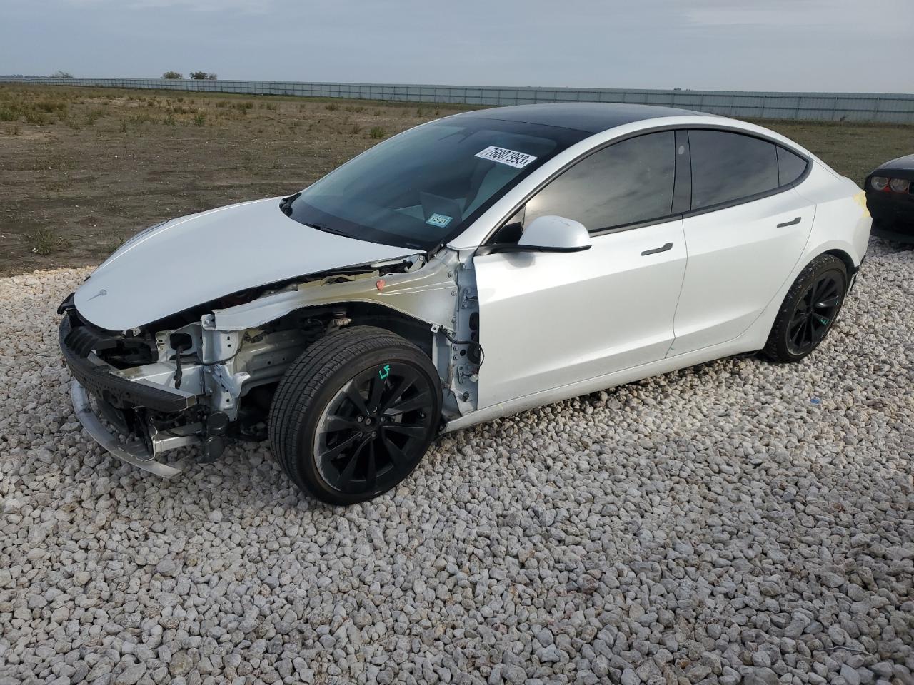 2021 TESLA MODEL 3  2021 image