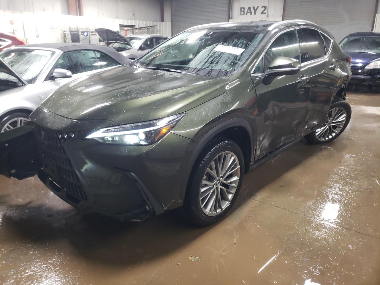 Obraz 2022 LEXUS NX 350H 2022