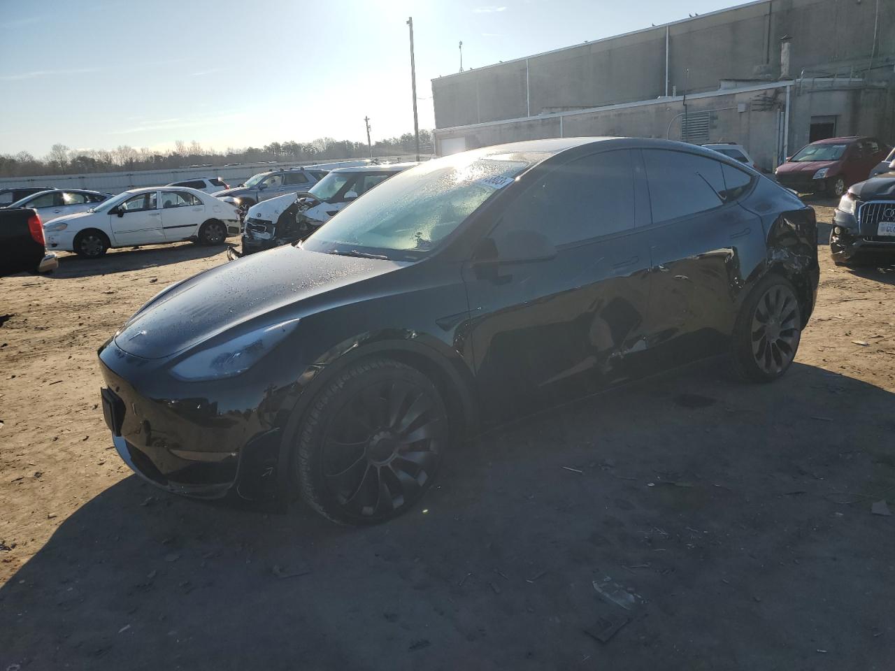 2023 TESLA MODEL Y  2023 image