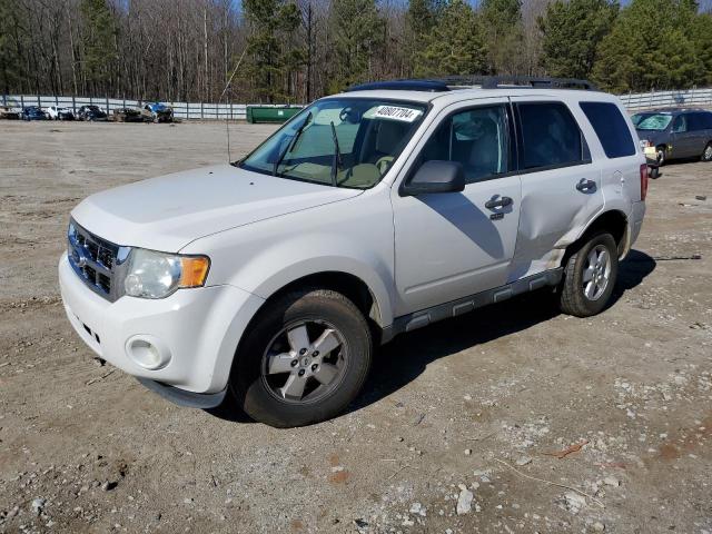 2011 FORD ESCAPE XLT 2011 image