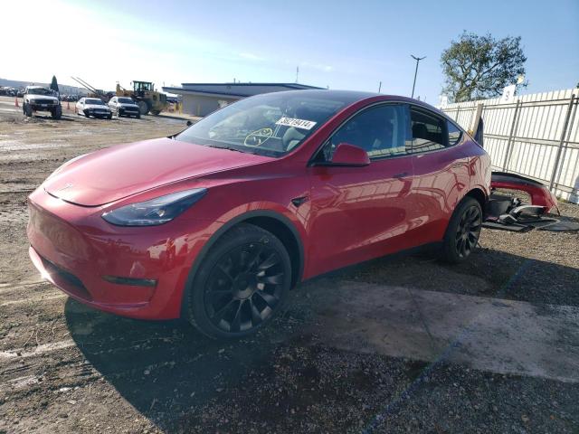 2023 TESLA MODEL Y  2023 image