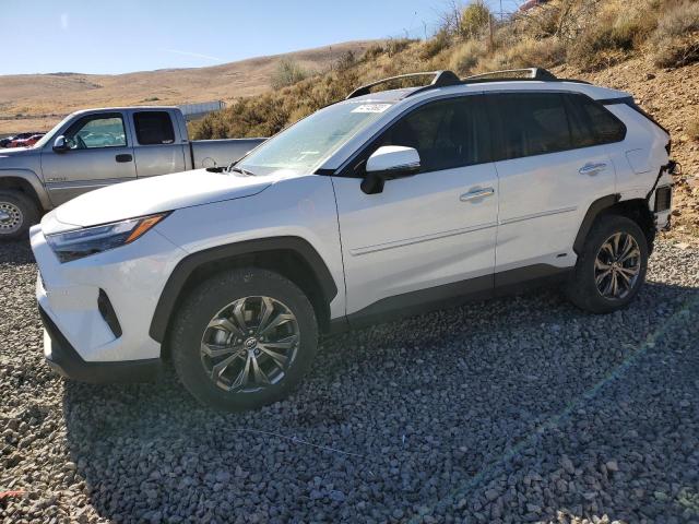 Image 1 of 2023 TOYOTA RAV4 LIMITED 2023 with VIN JTMD6RFV1PD088728