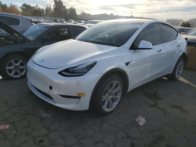 Obraz 2022 TESLA MODEL Y  2022
