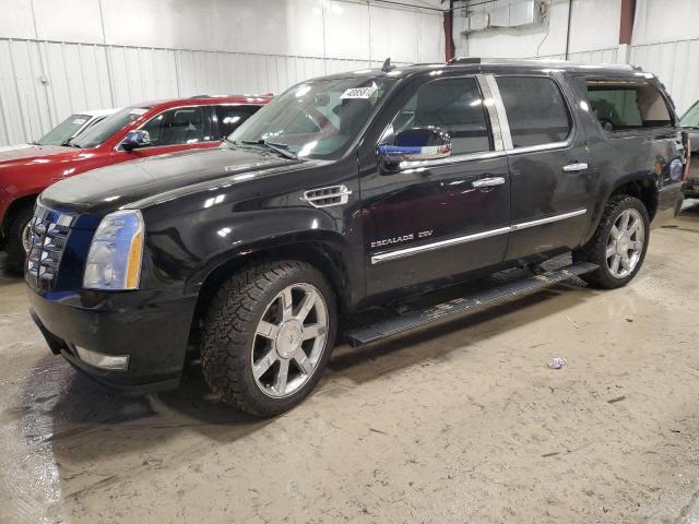 2011 CADILLAC ESCALADE ESV PREMIUM 2011 image
