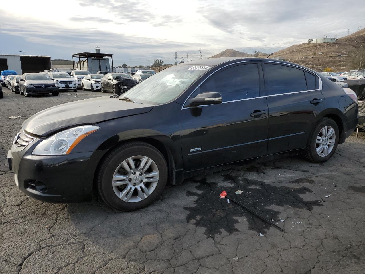 Изображение 1 2010 NISSAN ALTIMA HYBRID 2010 с VIN 1N4CL2AP6AC163723