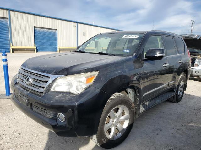 2013 LEXUS GX 460 2013 image