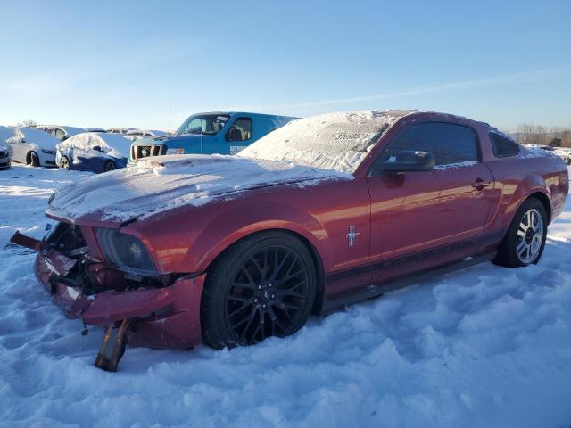 Image 1 of 2007 FORD MUSTANG  2007 with VIN 1ZVFT80N275202425