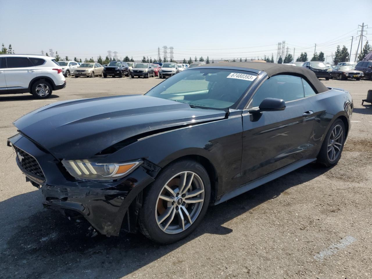 2017 FORD MUSTANG  2017 image