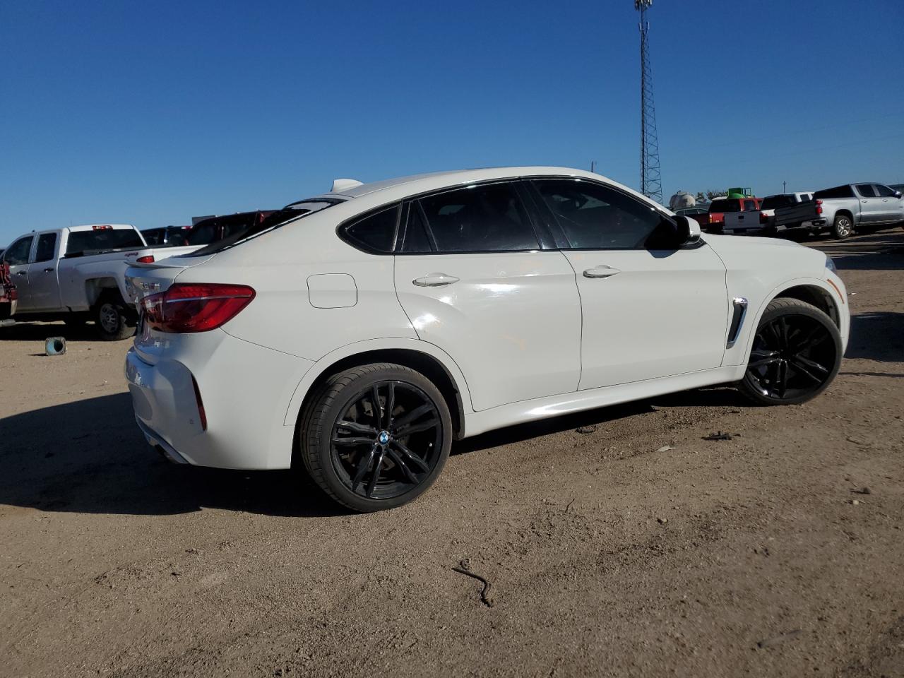 Image 3 of 2019 BMW X6 M 2019 with VIN 5YMKW8C51KLR38319