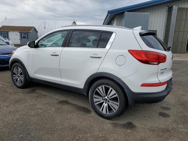 Image 2 of 2014 KIA SPORTAGE EX 2014 with VIN KNDPCCAC6E7566565