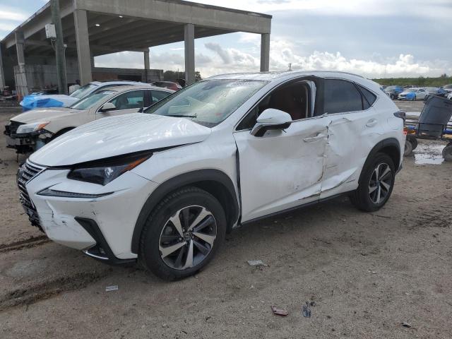 2021 LEXUS NX 300H BASE 2021 image