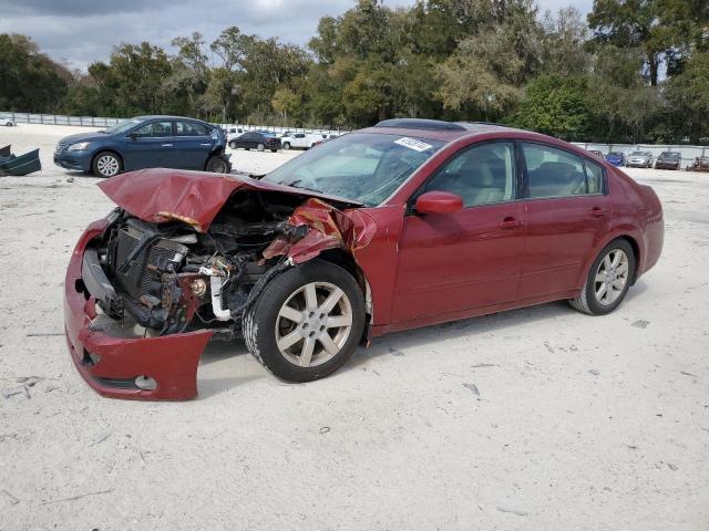 2004 NISSAN MAXIMA SE 2004 image