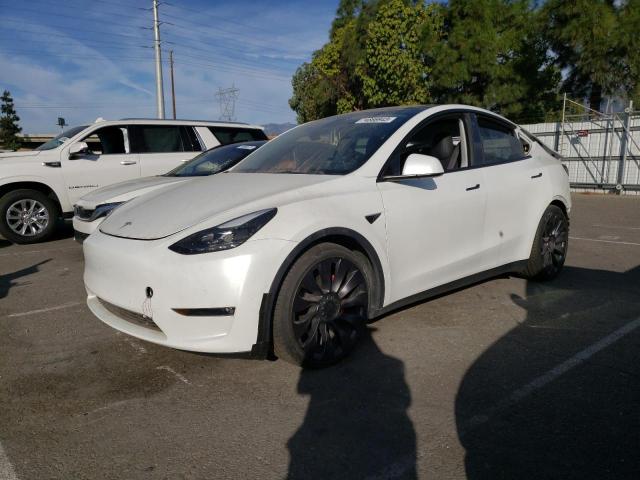 2021 TESLA MODEL Y  2021 image
