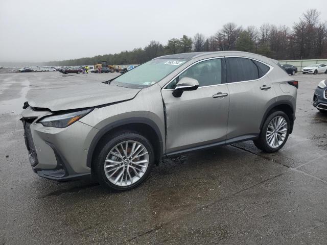 2024 LEXUS NX 350H BASE 2024 image