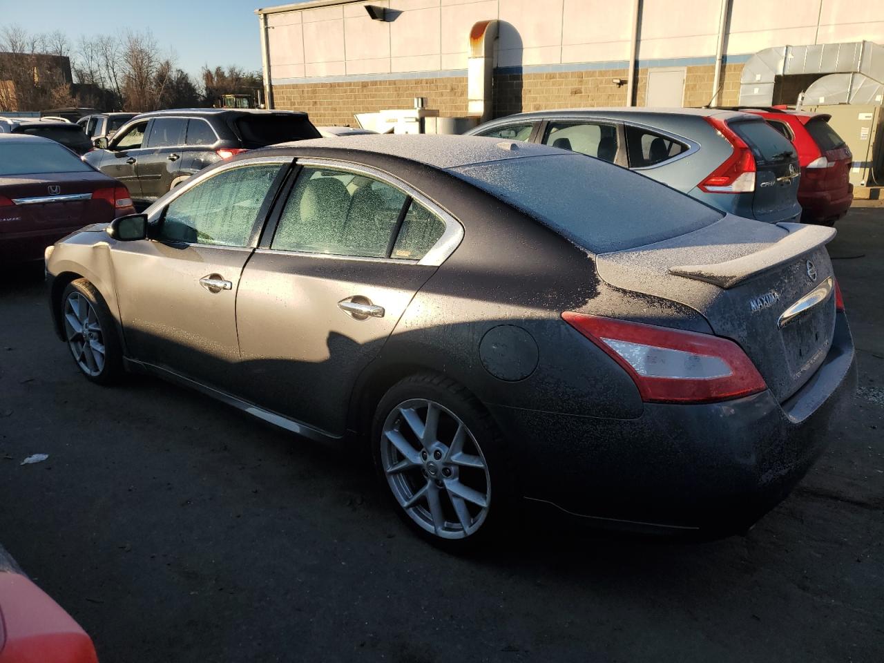 Изображение 2 2009 NISSAN MAXIMA S 2009 с VIN 1N4AA51E49C813271