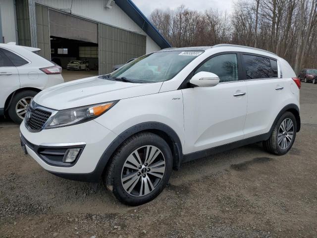 Image 1 of 2014 KIA SPORTAGE EX 2014 with VIN KNDPCCAC6E7566565