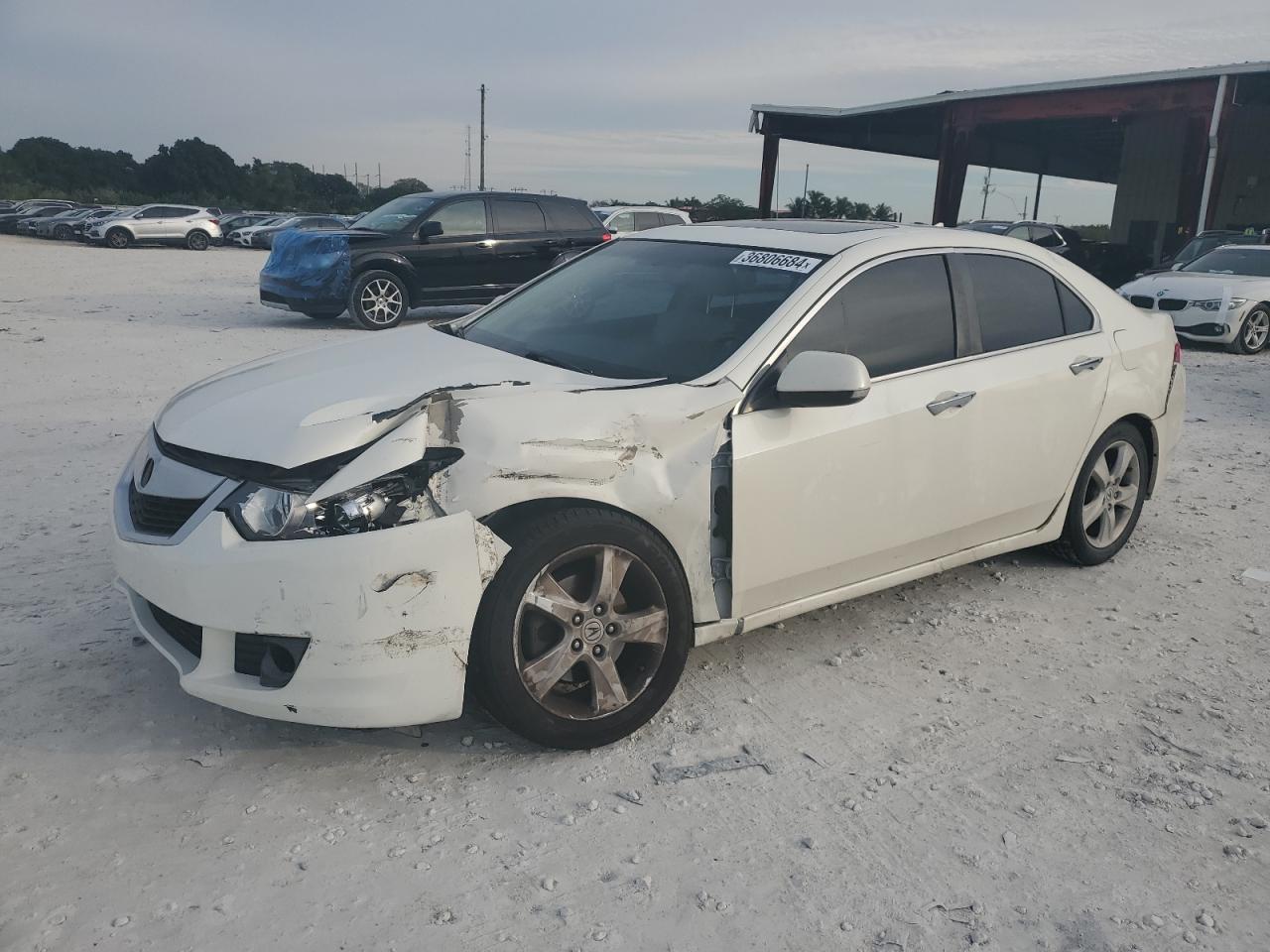 2010 ACURA TSX  2010 image