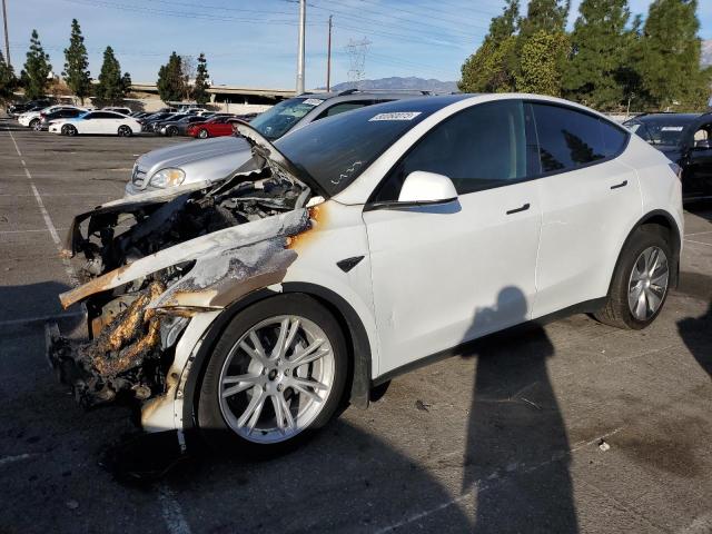 Obraz 1 z 2022 TESLA MODEL Y  2022 z VIN 7SAYGDEE0NF411887