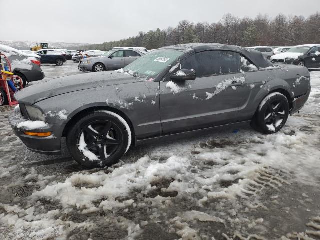 2005 FORD MUSTANG  2005 image