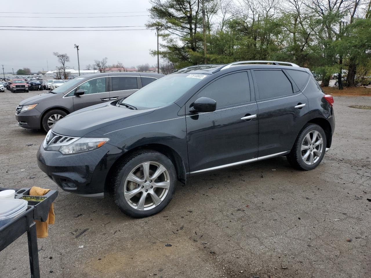 Obraz 2013 NISSAN MURANO S 2013